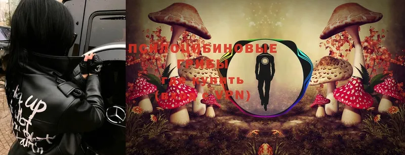 Псилоцибиновые грибы MAGIC MUSHROOMS  ОМГ ОМГ tor  Каневская 