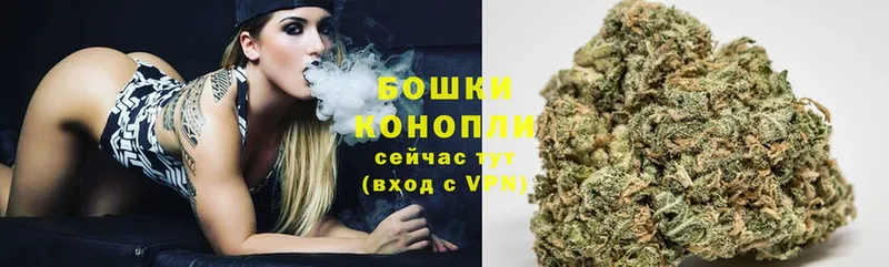 купить   Каневская  Бошки марихуана Ganja 